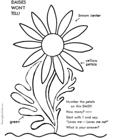 Coloring pages of flowers - Daisies