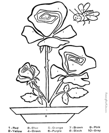 Coloring pages of flowers - Rose