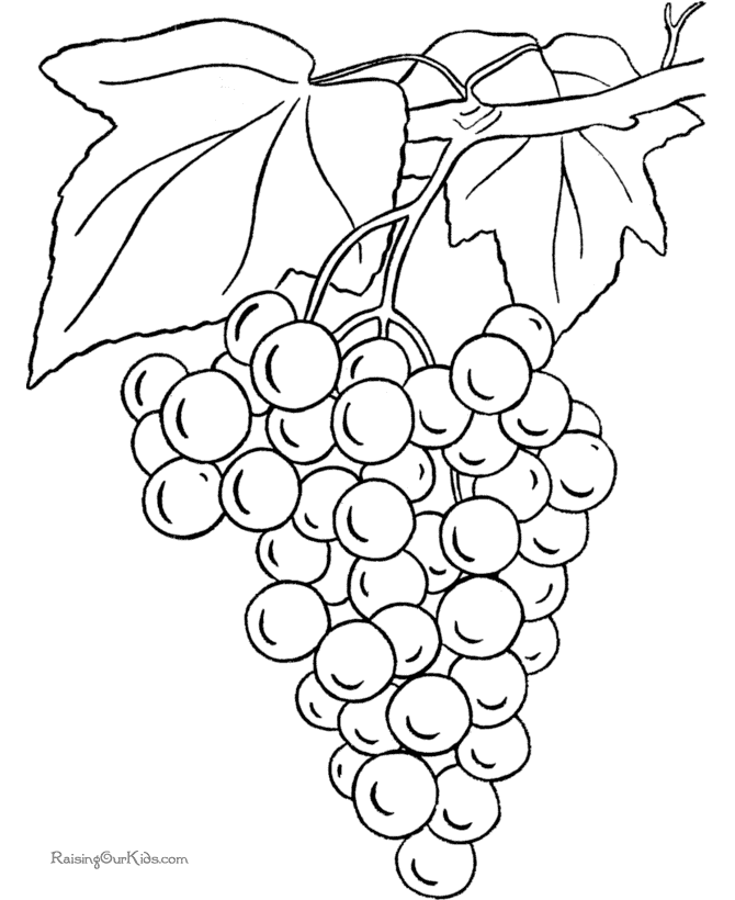 Grapes coloring page to print and color