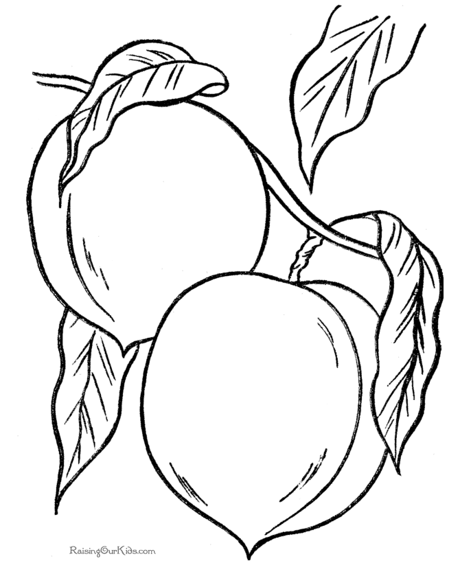 Peaches coloring picture to print and color