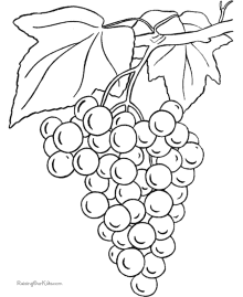 Food coloring pages - Grapes