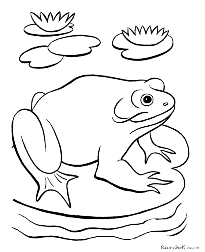 Frog coloring page to print and color
