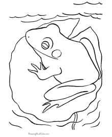 Frog coloring pages - frogs