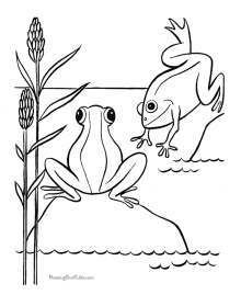 Frog coloring pages - frogs