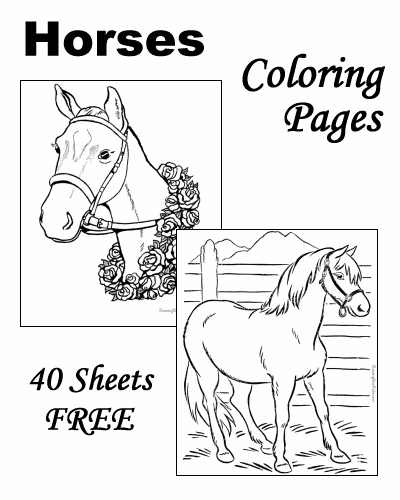 Coloring pages of horses!