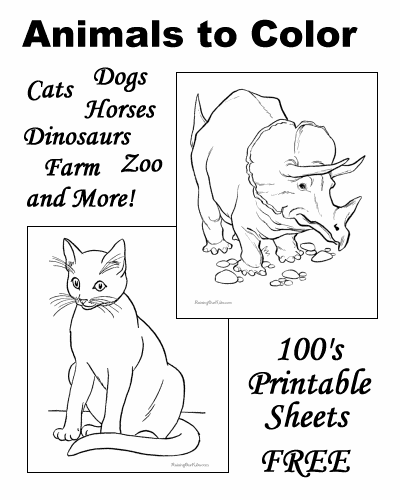 Animal coloring pages!