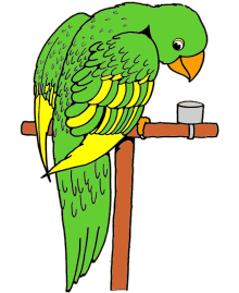 Animal coloring pages - Birds