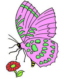 Animal coloring pages - Butterflies