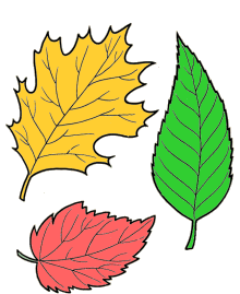Animal coloring pages - Tree leaf