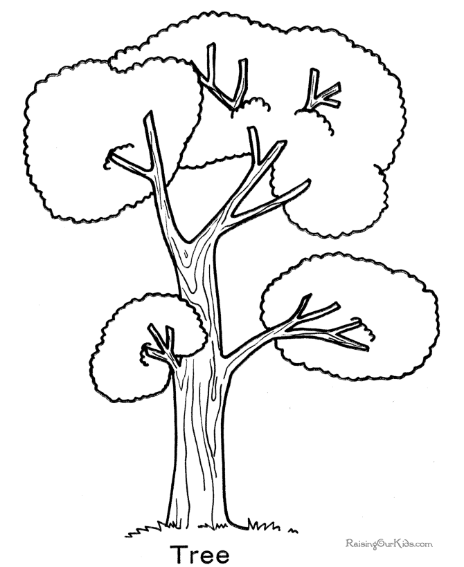 Tree coloring picture