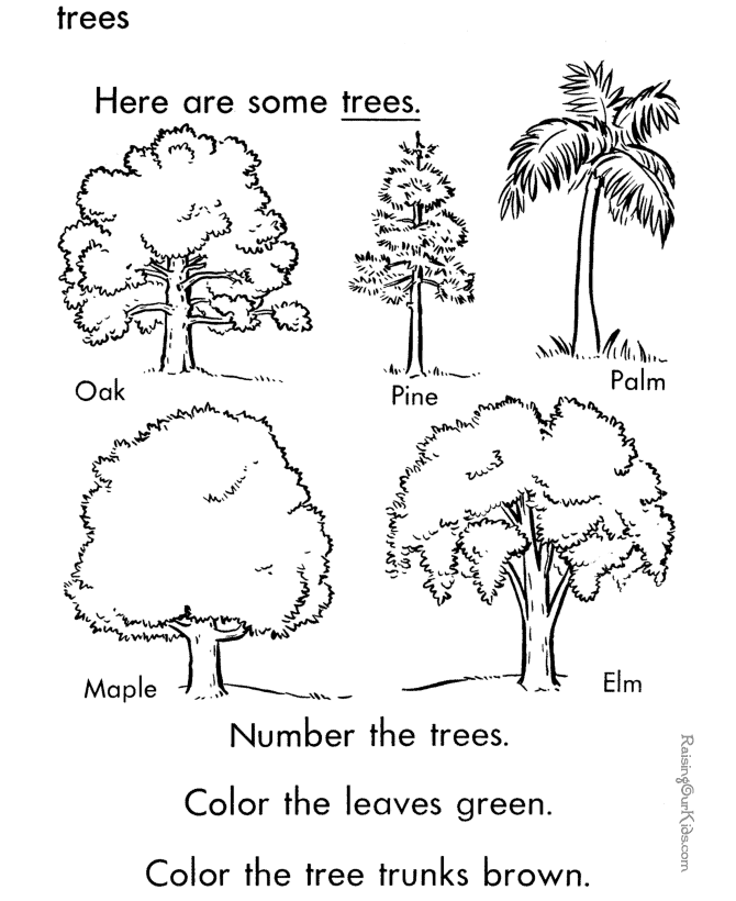 Trees coloring page to print and color