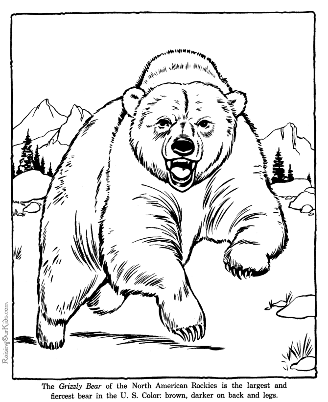 Grizzly Bear coloring page sheet - Zoo animals