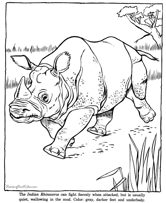 Rhinoceros rhino coloring page sheet - Zoo animals