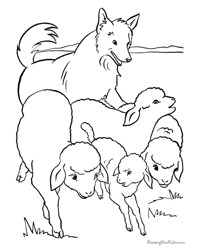 Herd dog to color