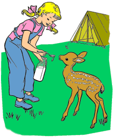 Camping fun coloring pages, sheets, pictures