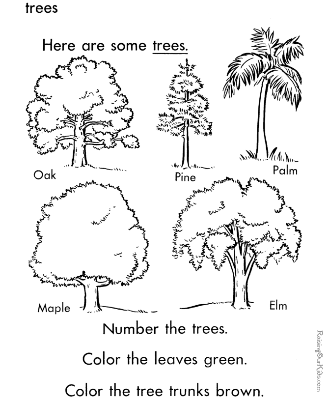 Arbor Day trees coloring picture