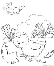 Coloring pages of ducks