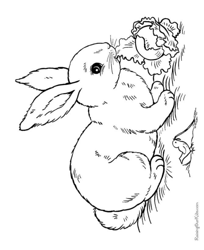 free printable coloring sheet for easter