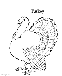 Turkey coloring book pages