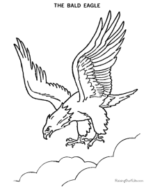 Bald eagle drawings