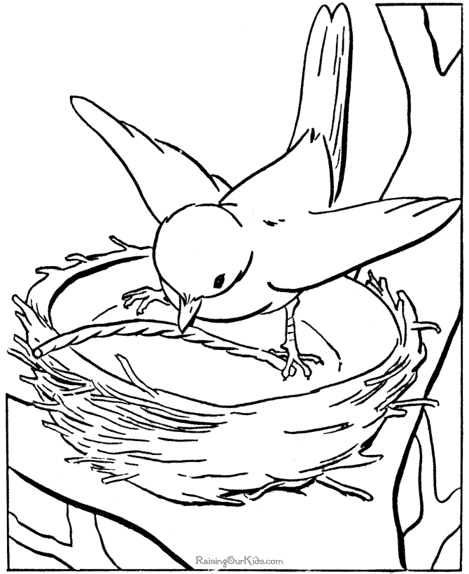nest and bird coloring page