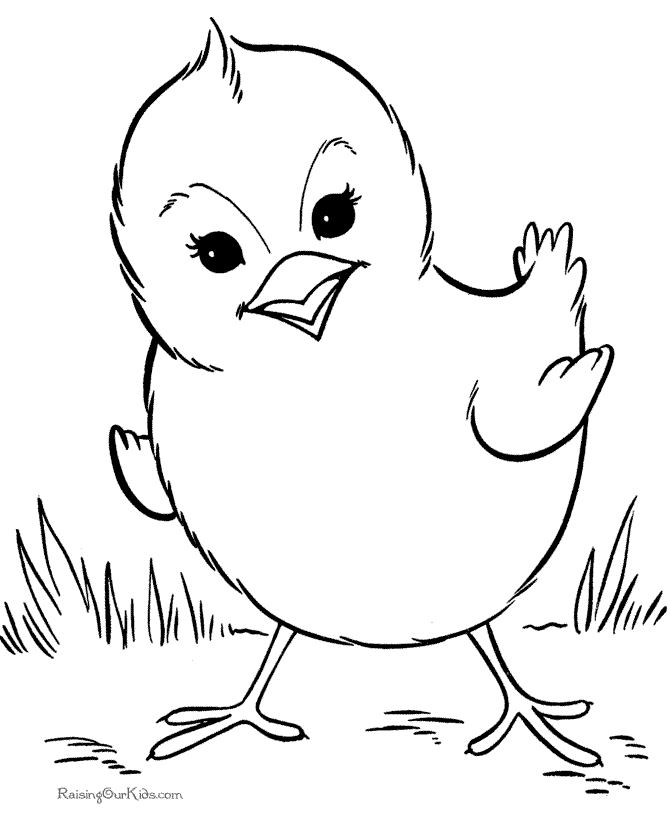 printable baby chick bird coloring page