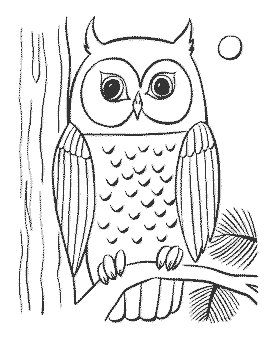 Coloring pages of birds Owl