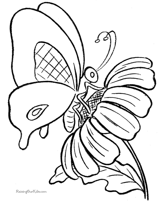 Flower and Butterfly coloring page