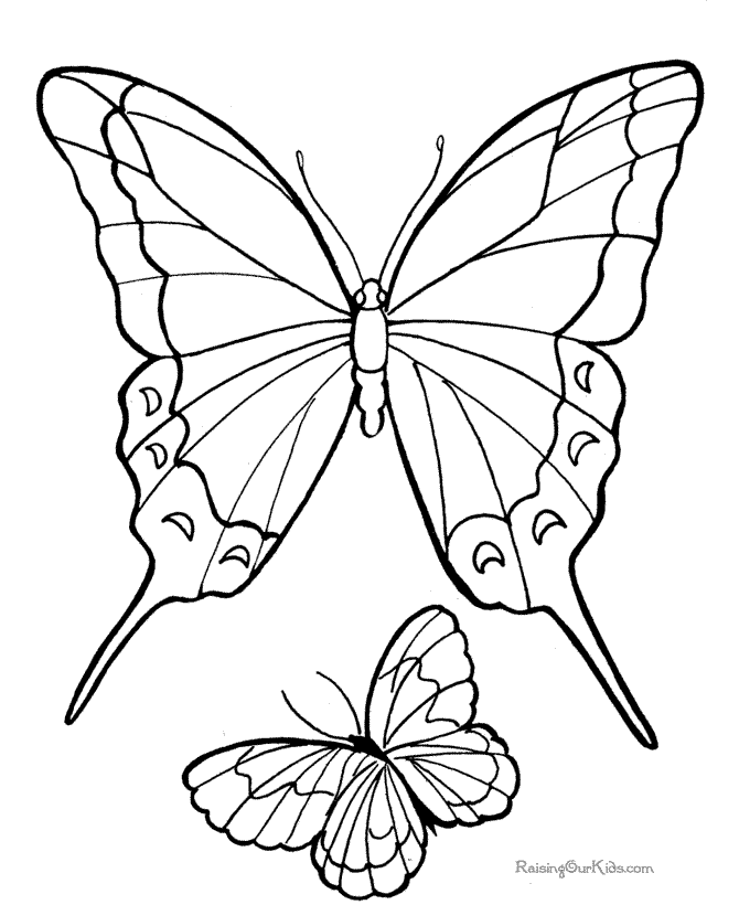 Printable butterflies coloring page to color