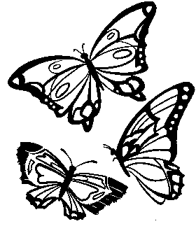 preschool butterfly coloring page