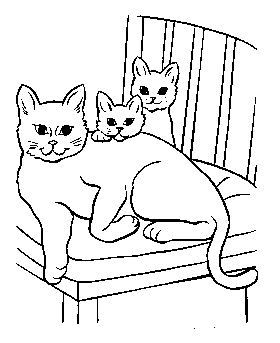 Coloring pages of cats