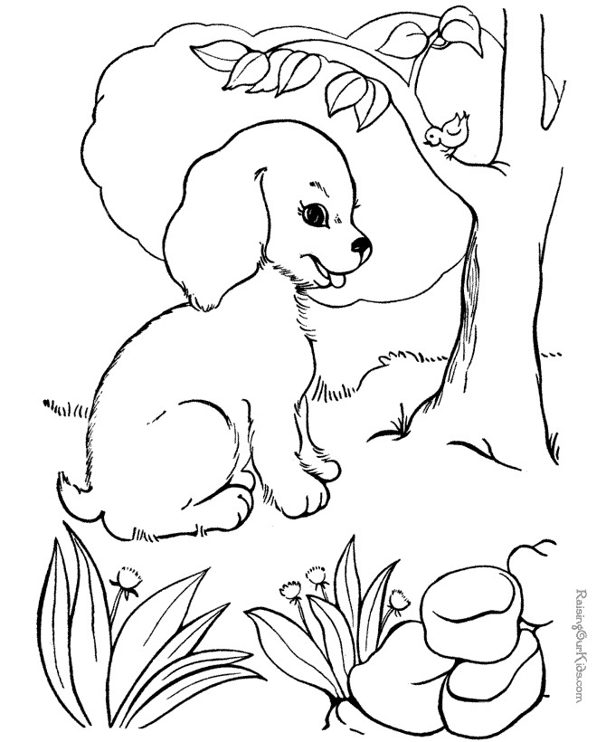 bird and dog coloring page