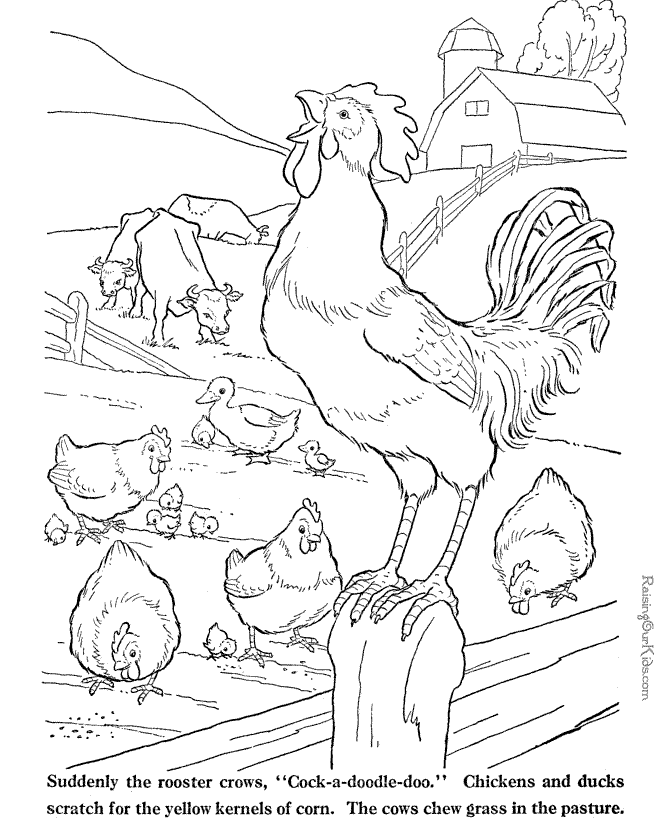 farm animal coloring page of a rooster