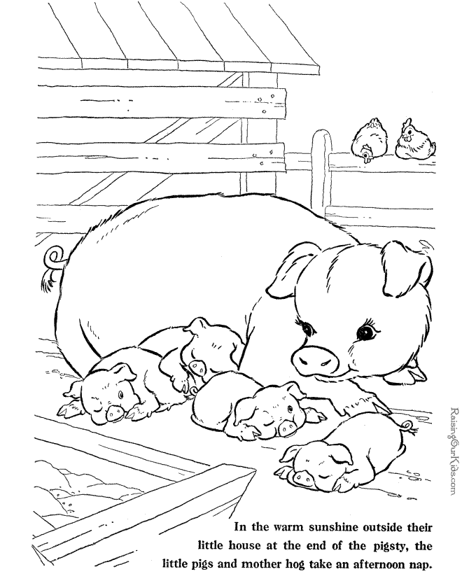 farm coloring page of hog and little pigs