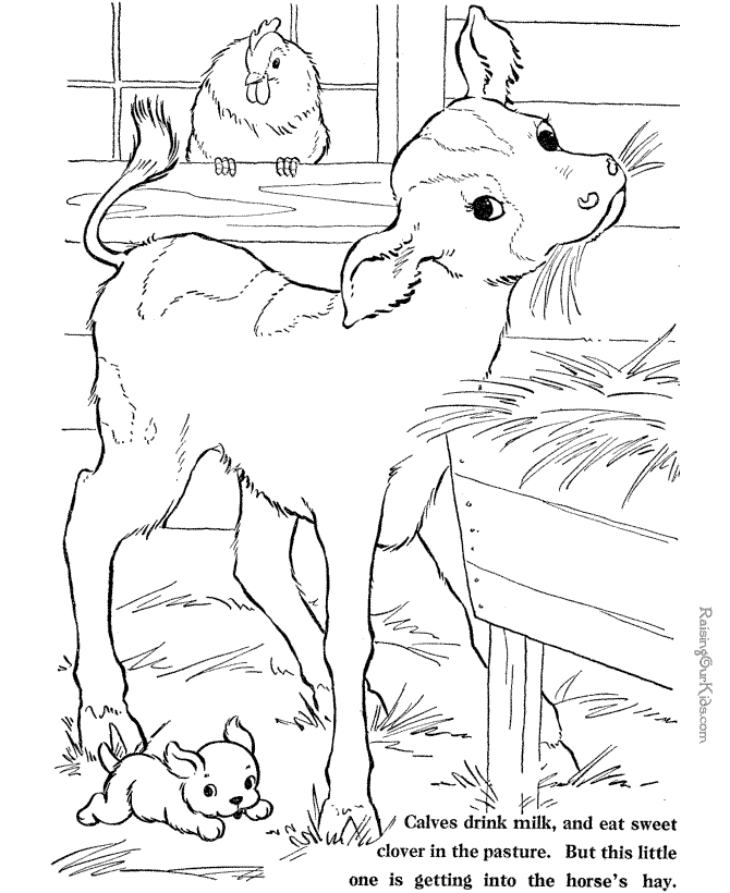 Little calf Farm coloring page