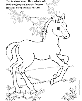 farm animal coloring pages of horse