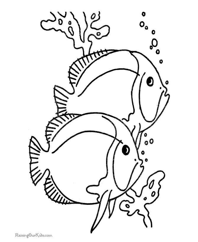 coloring page of two tropical fish