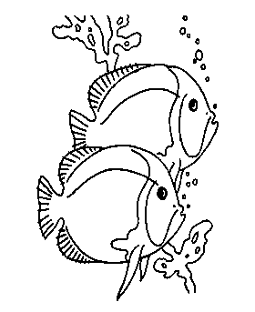 coloring pages of fish