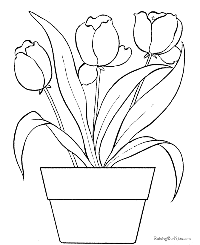 Printable tulip flower coloring page