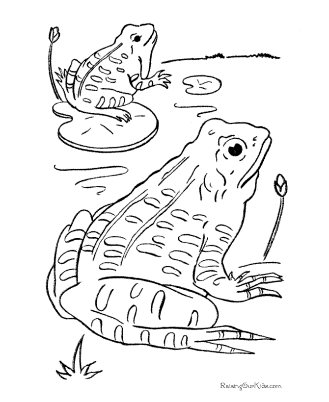 Frogs on lilypads coloring page