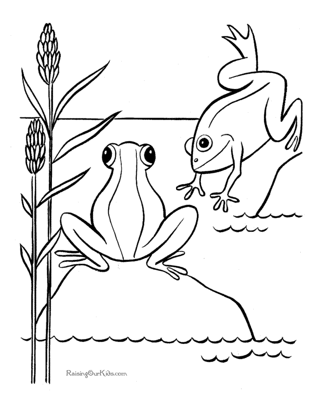 Frogs in a pond coloring page