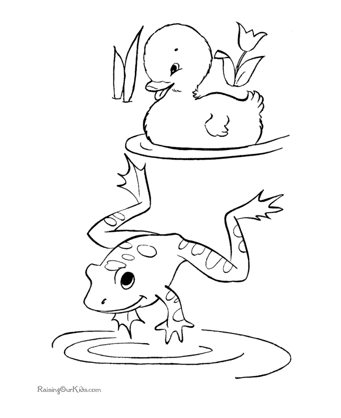 Duck and jumping frog coloring page