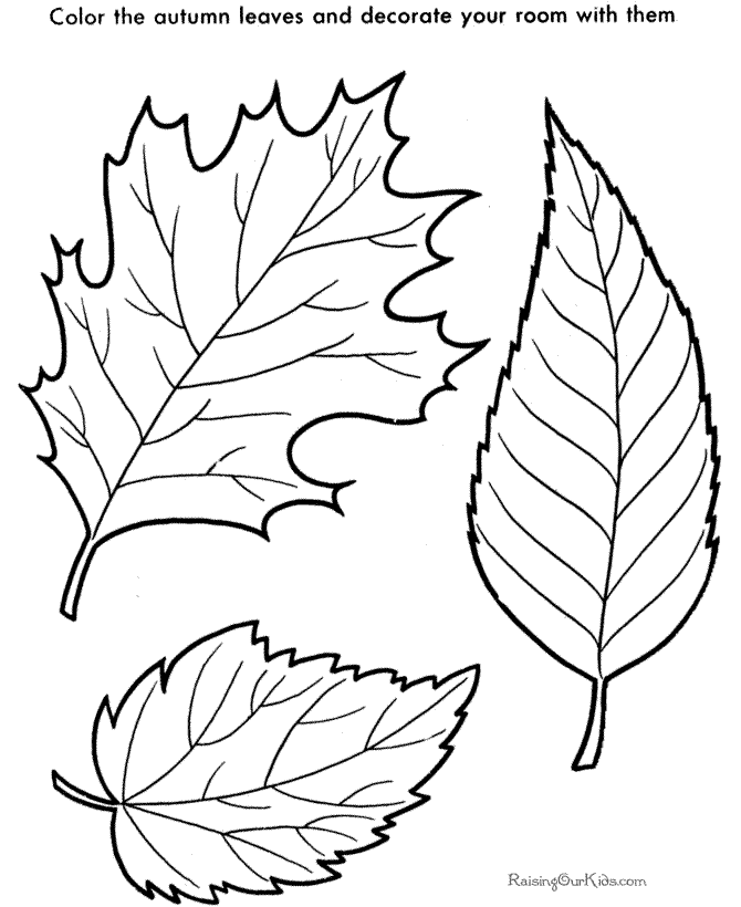 leaf coloring page