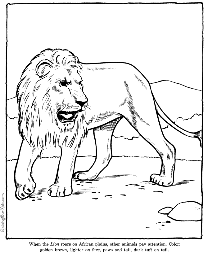 zoo lion coloring page