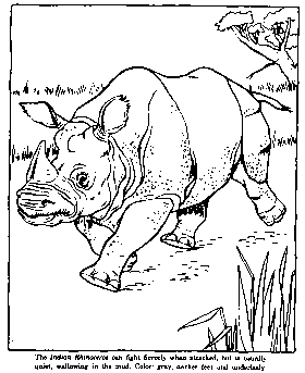 zoo rhino coloring pages