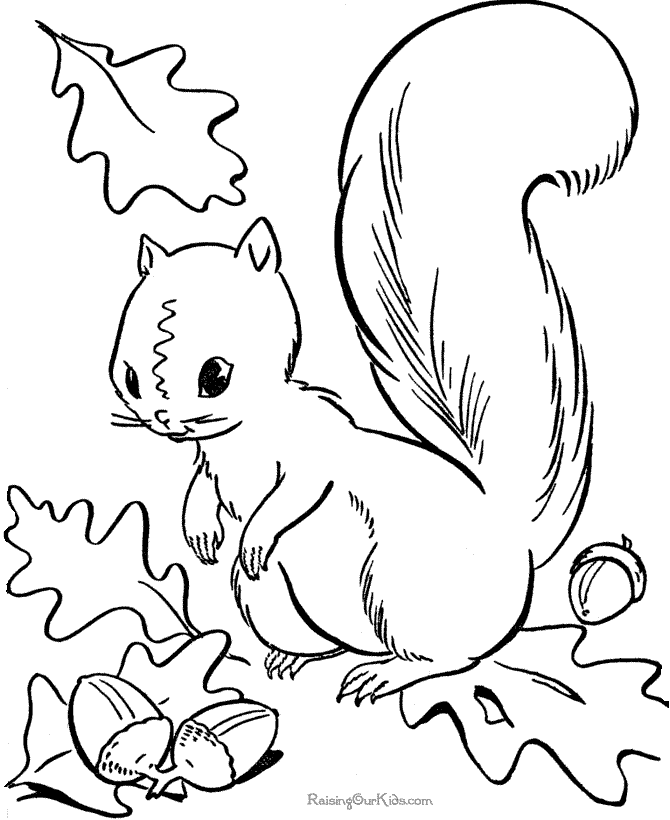 Fall coloring page of animal