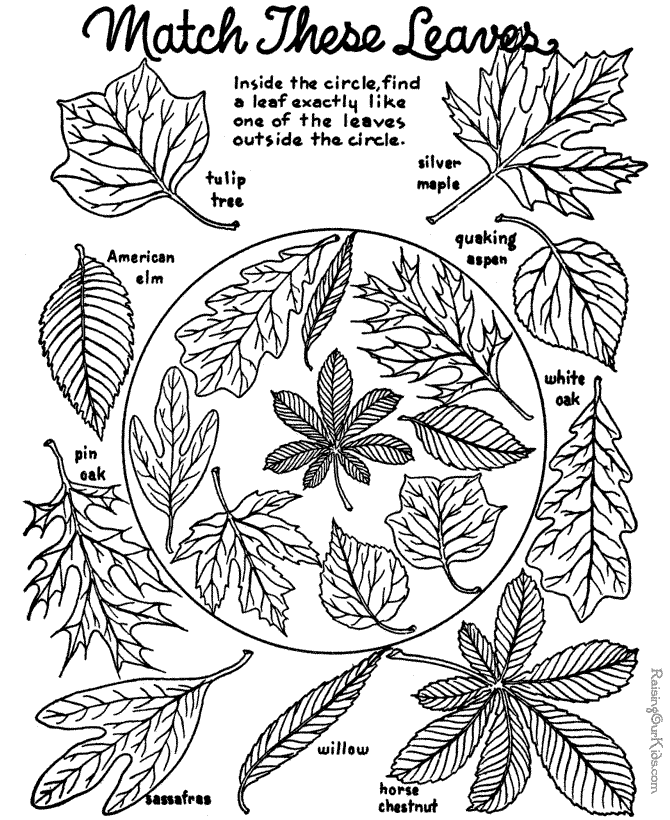 Autumn leaf matching Fall coloring page