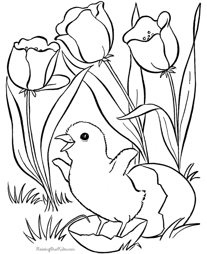 Baby Chick and Flowers Spring Coloring Page