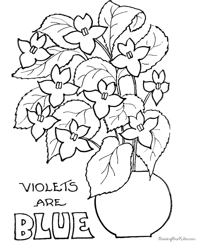 Violets are Blue Valentine´s Day flower coloring pages