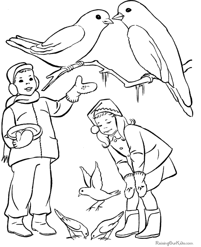winter coloring page of birds